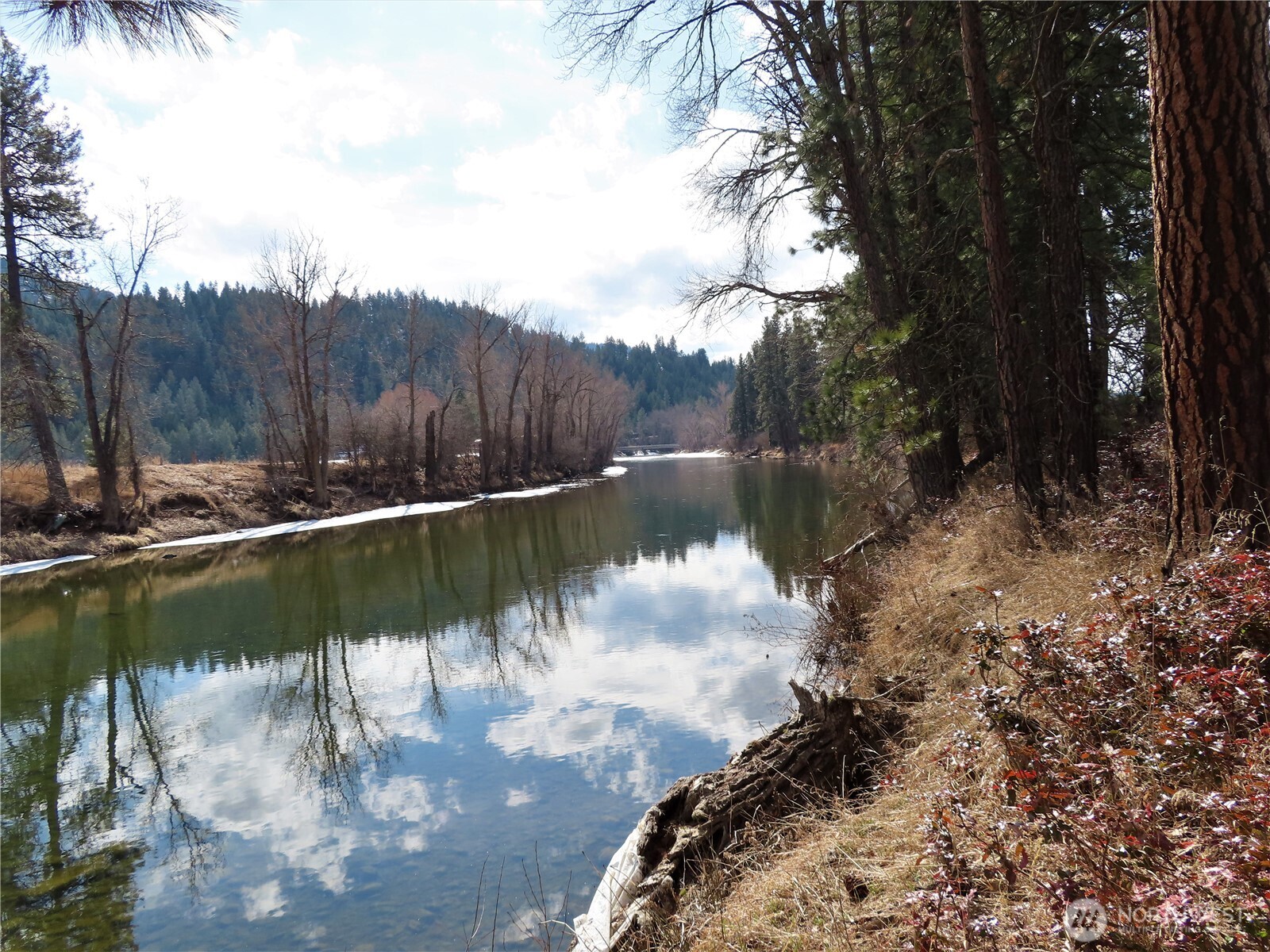 0 Highway 21 N Danville WA 99121