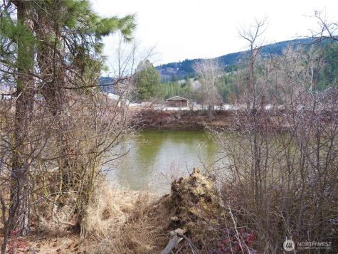 0 Highway 21 N Danville WA 99121