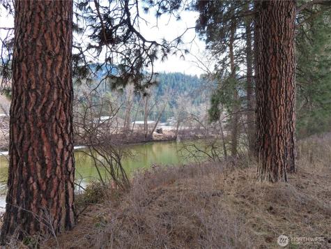 0 Highway 21 N Danville WA 99121