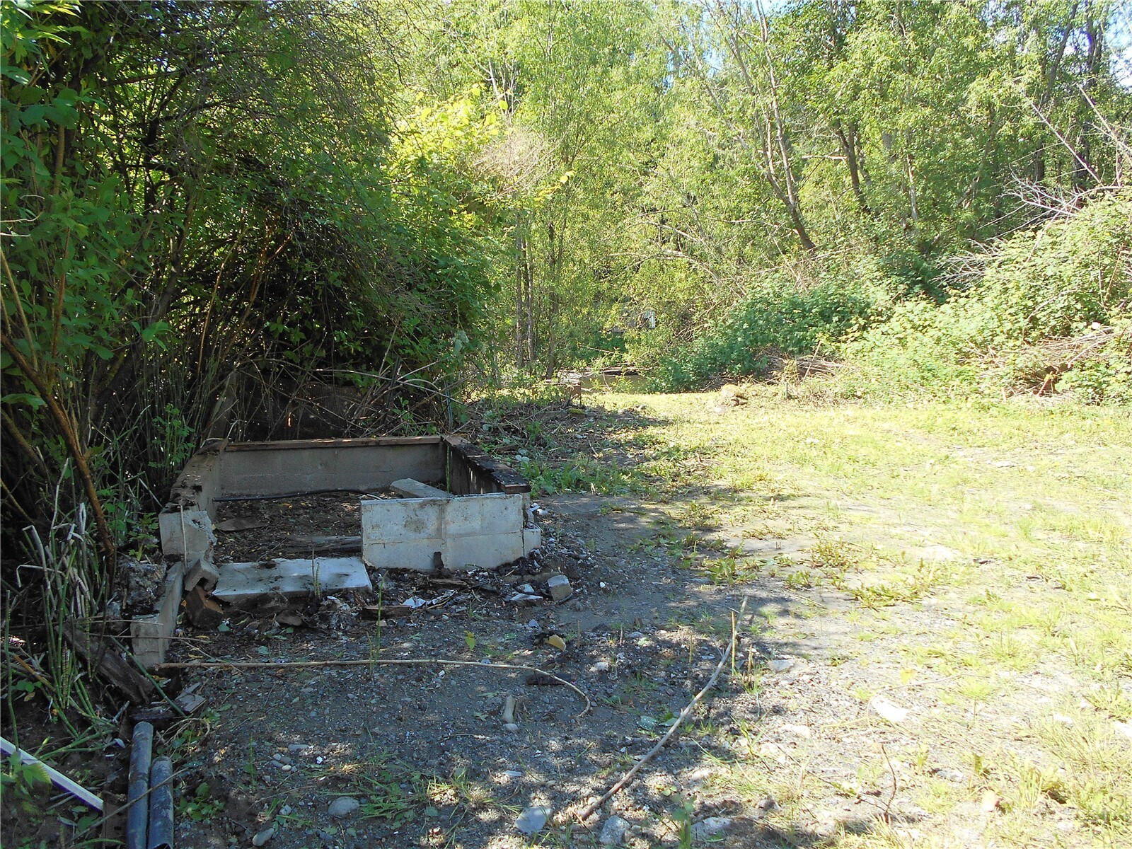 170 Kelly Road Brinnon WA 98320