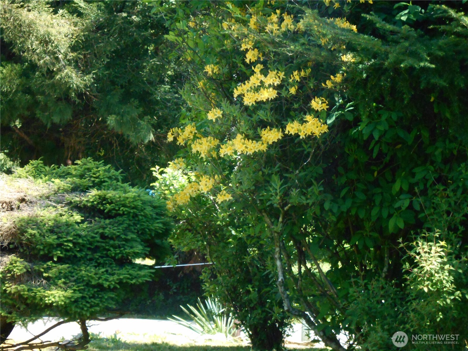 170 Kelly Road Brinnon WA 98320
