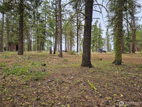 0 Muledeer Road East Wenatchee WA 98802