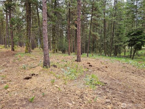 0 Muledeer Road East Wenatchee WA 98802