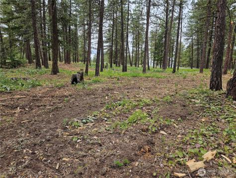 0 Muledeer Road East Wenatchee WA 98802