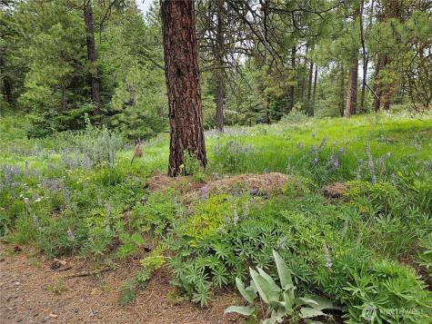 0 Muledeer Road East Wenatchee WA 98802