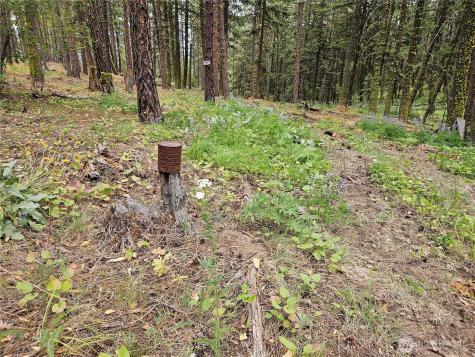 0 Muledeer Road East Wenatchee WA 98802