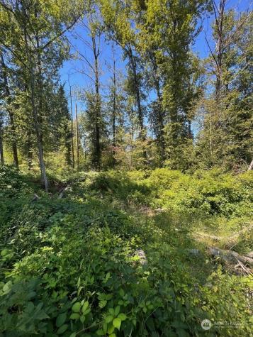 14000 Center Road Everett WA 98204