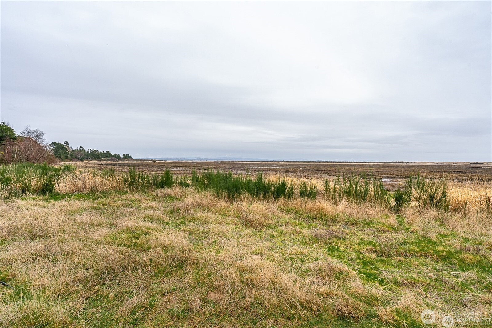 2680 Sunset Lane Tokeland WA 98590