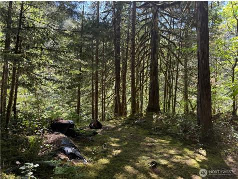 0 E Cascade Drive Marblemount WA 98267
