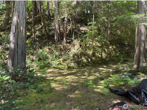 0 E Cascade Drive Marblemount WA 98267