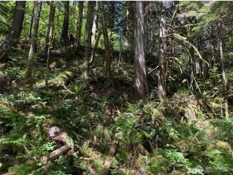 0 E Cascade Drive Marblemount WA 98267