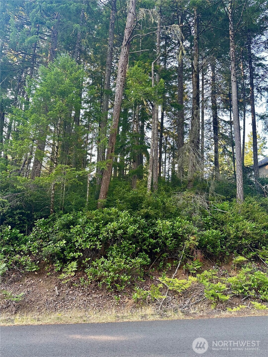 700 E Vine Maple Lane Union WA 98592