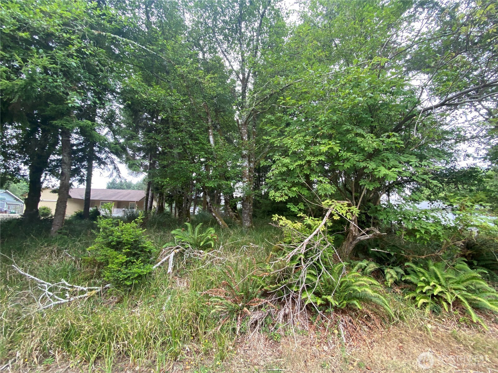 135 Duck Lake Drive NE Ocean Shores WA 98569