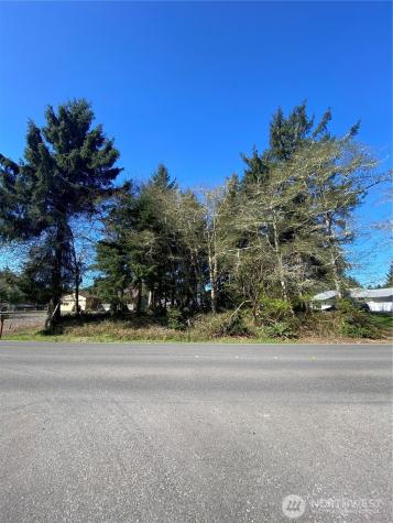 135 Duck Lake Drive NE Ocean Shores WA 98569