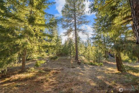 150 Bunchberry Court Cle Elum WA 98922