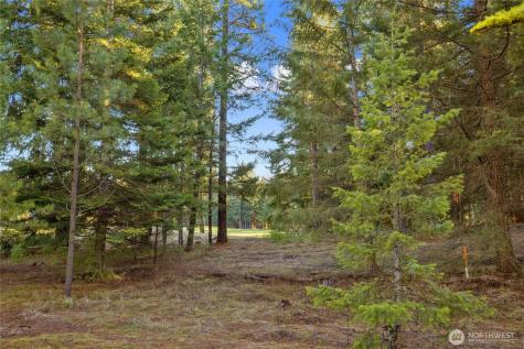 150 Bunchberry Court Cle Elum WA 98922