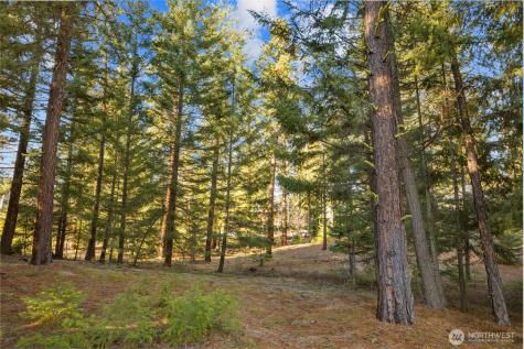 150 Bunchberry Court Cle Elum WA 98922