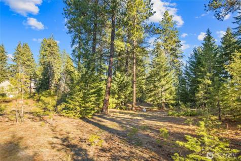 150 Bunchberry Court Cle Elum WA 98922