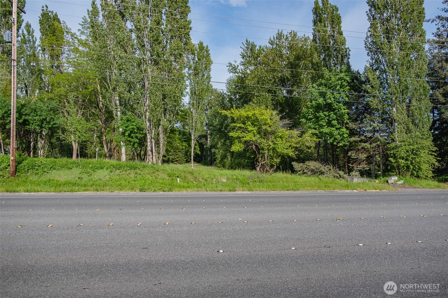 4472 Meridian Street Bellingham WA 98226