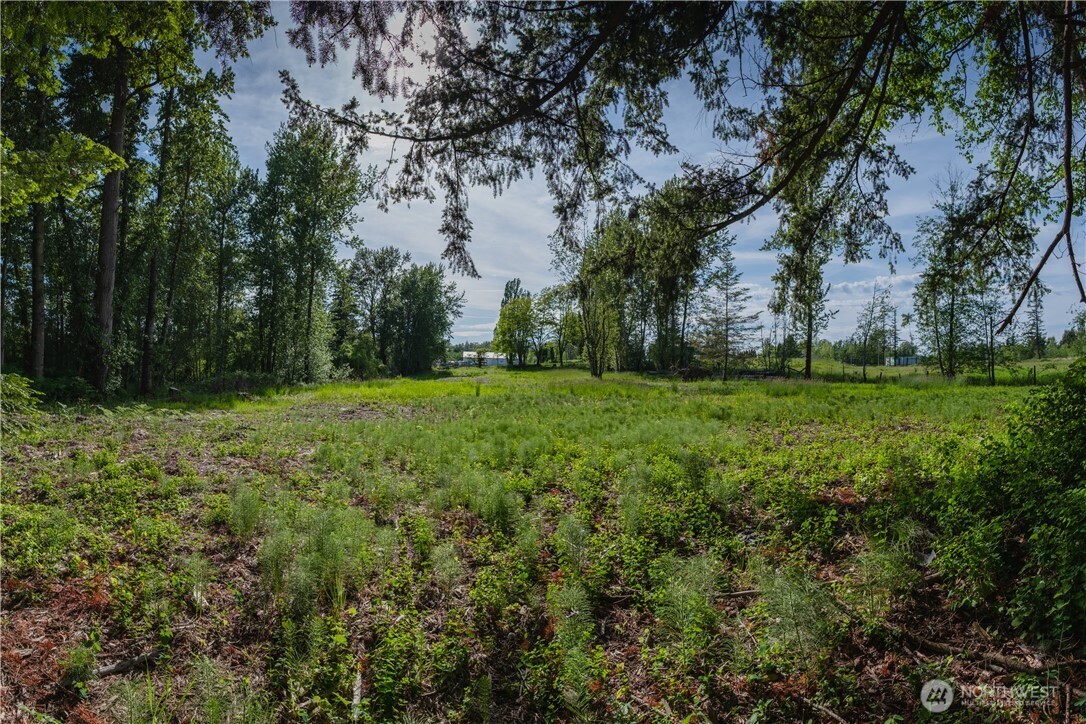 4472 Meridian Street Bellingham WA 98226