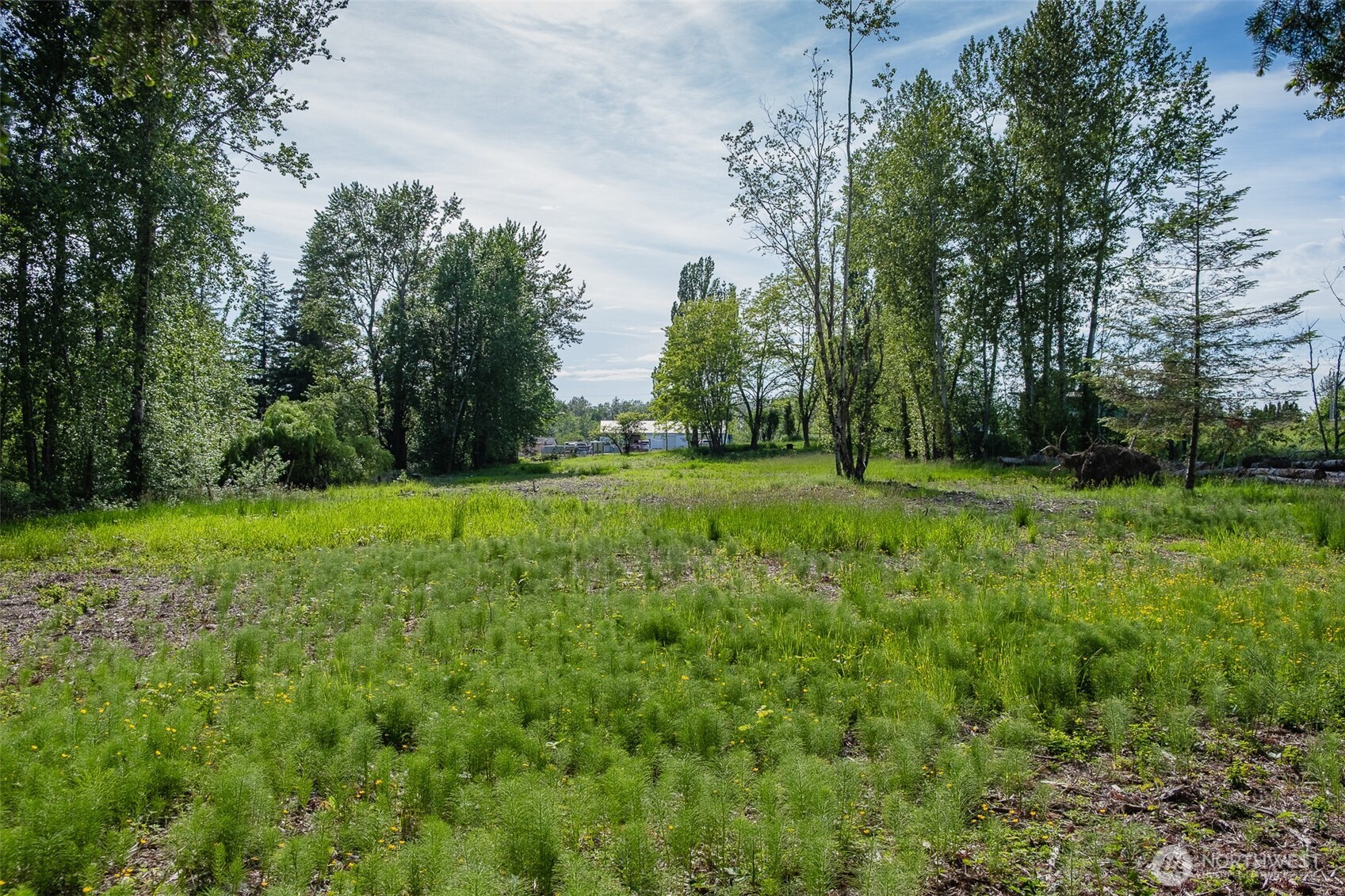 4472 Meridian Street Bellingham WA 98226
