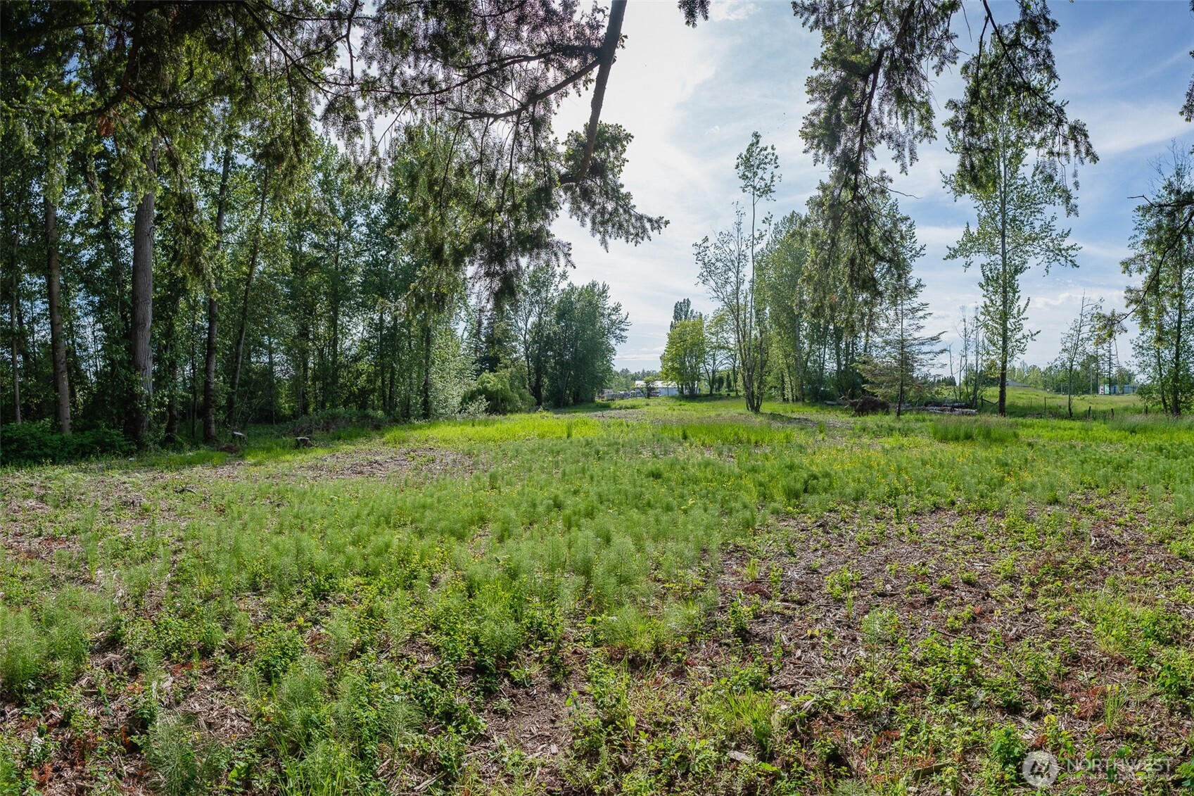 4472 Meridian Street Bellingham WA 98226