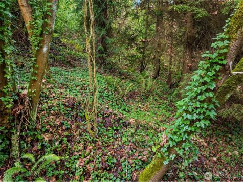 43 Fernbrook Drive Mercer Island WA 98040