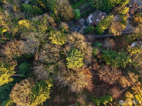 43 Fernbrook Drive Mercer Island WA 98040