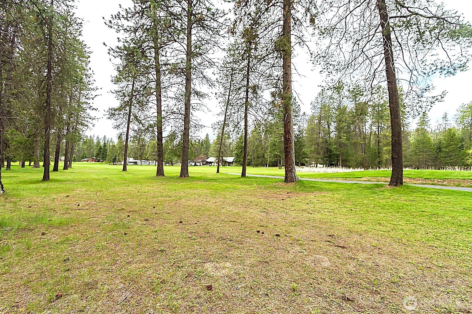 202 Eagle Drive Chewelah WA 99109