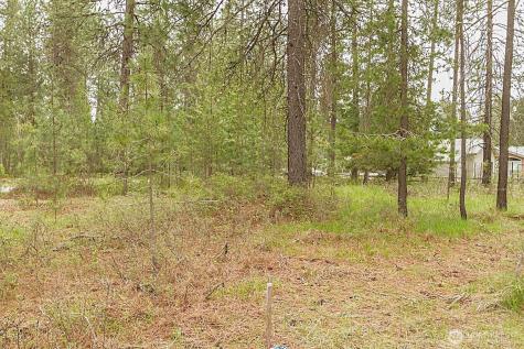 202 Eagle Drive Chewelah WA 99109