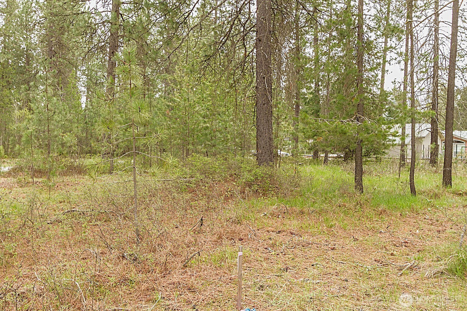 202 Eagle Drive Chewelah WA 99109