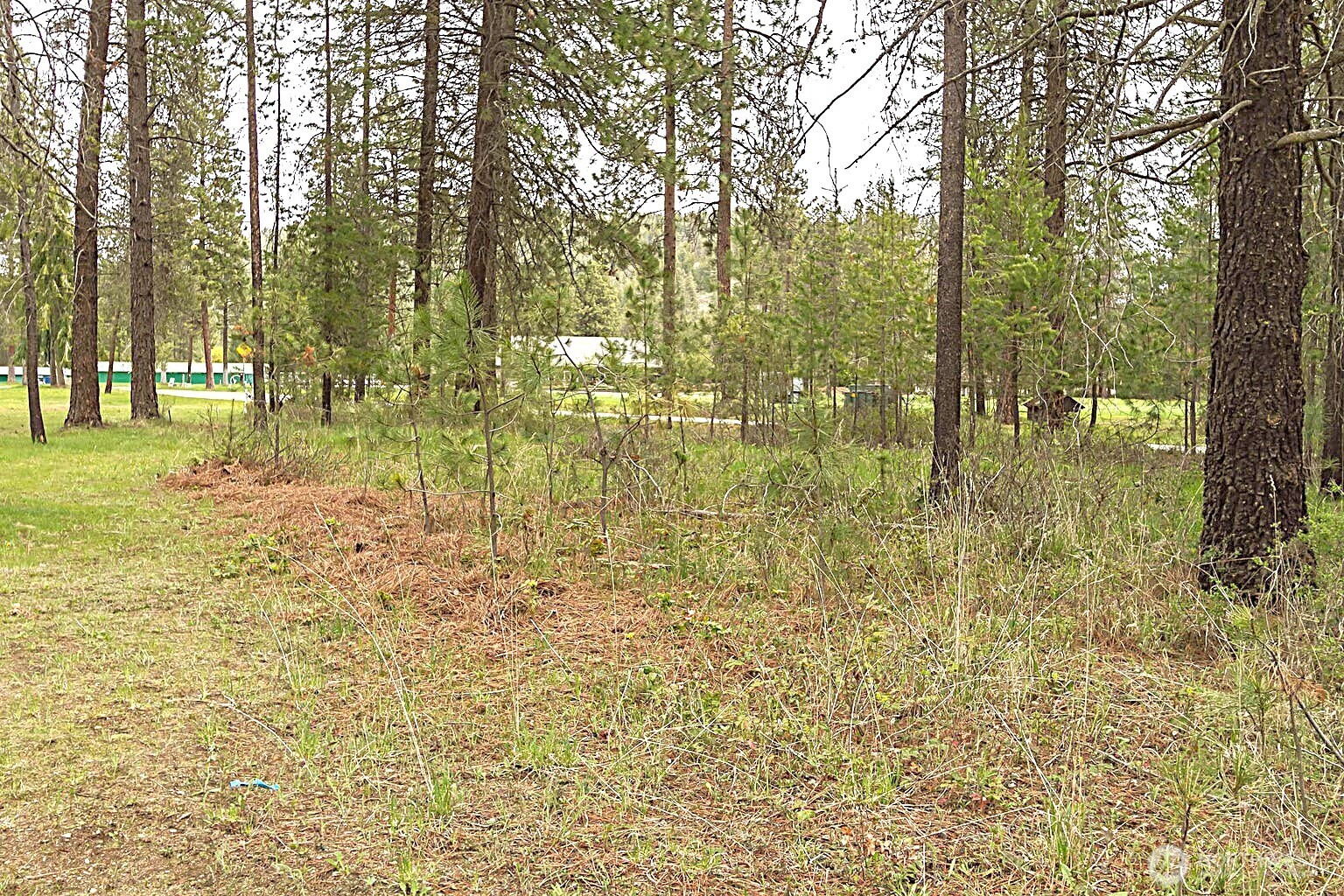 202 Eagle Drive Chewelah WA 99109