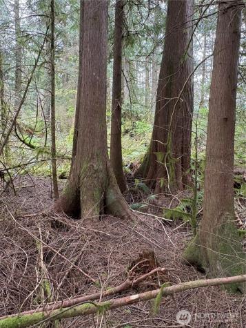 0 W Shore Drive Mount Vernon WA 98274