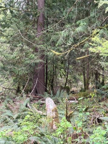 0 W Shore Drive Mount Vernon WA 98274