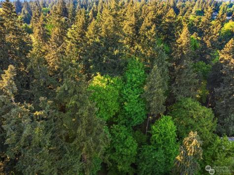 0 91st Avenue SE Mercer Island WA 98040