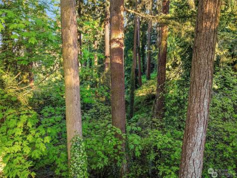 0 91st Avenue SE Mercer Island WA 98040