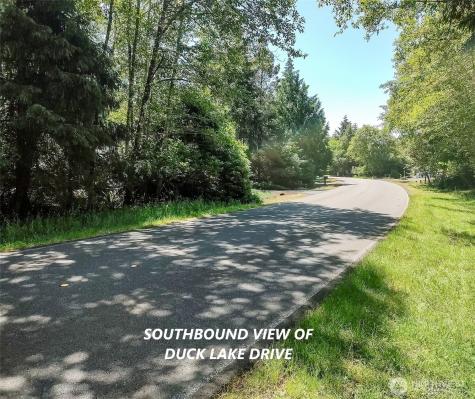 242 Duck Lake Drive NE Ocean Shores WA 98569