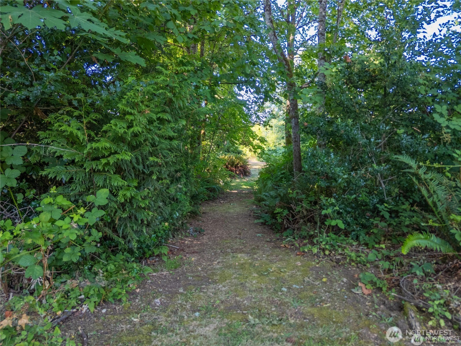 16621 188th Avenue SE Renton WA 98058