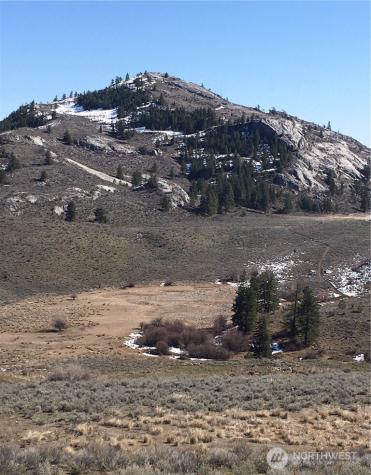 338 Palmer Mountain Road Oroville WA 98855