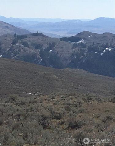 338 Palmer Mountain Road Oroville WA 98855