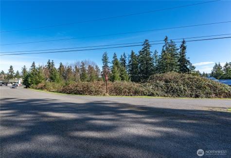 999 Ann Kivley Drive Port Hadlock WA 98339
