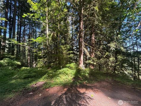21 Clematis Lane Bellingham WA 98229