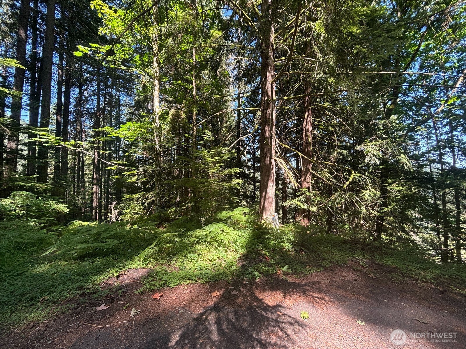 21 Clematis Lane Bellingham WA 98229