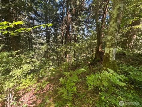 21 Clematis Lane Bellingham WA 98229