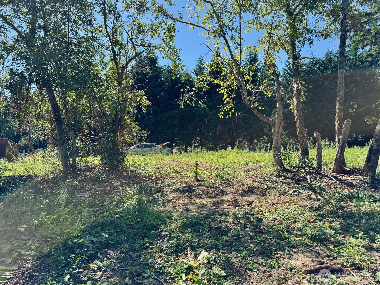 16500 107th Place NE Bothell WA 98011