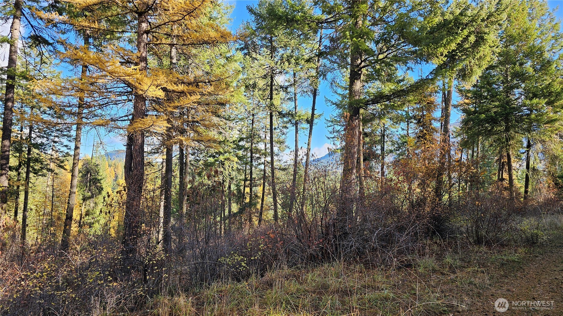 700 Dry Gulch Road Colville WA 99114