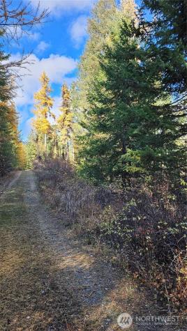 700 Dry Gulch Road Colville WA 99114