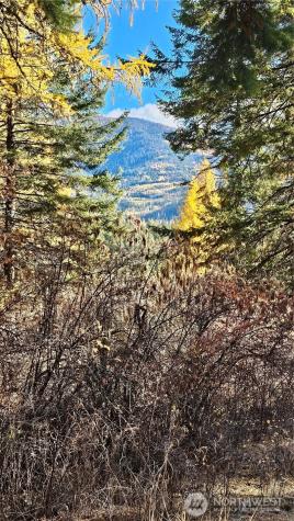 700 Dry Gulch Road Colville WA 99114