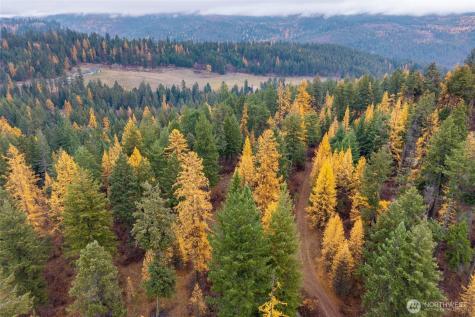 700 Dry Gulch Road Colville WA 99114