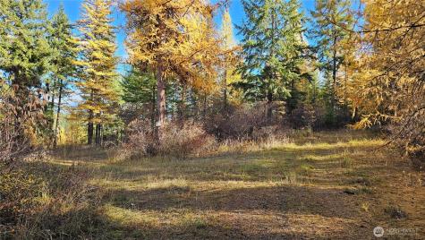 700 Dry Gulch Road Colville WA 99114